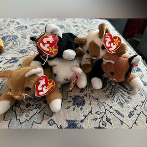 Lot of 5 TY Retired Beanie Babies Calico collection with tags